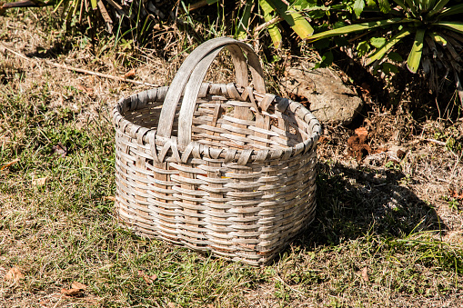 Old wicker basket in garden meadow closeup in sunny day