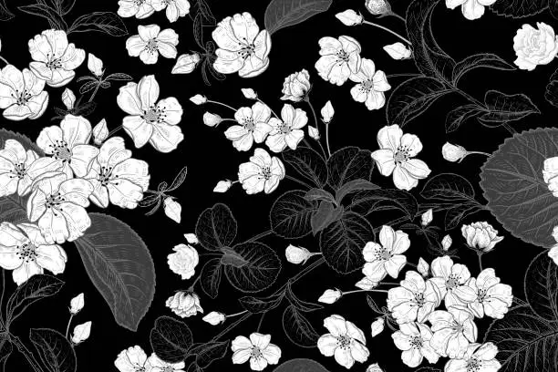 Vector illustration of Floral vintage seamless pattern with Japanese cherry. Black and white.