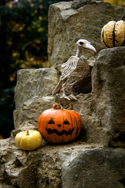 istock Scary Halloween pumpkin Jack-o-lantern in the park 1436339017