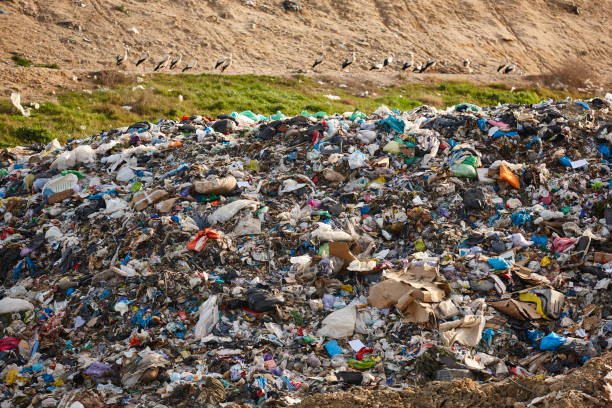 istock Open air garbage dump. Plastic waste pollution. Recycling junk. Ecology 1436339920