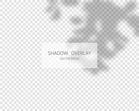 Transparent Sun Shadow Natural Shadows Isolated On Transparent Background Stock Illustration ...