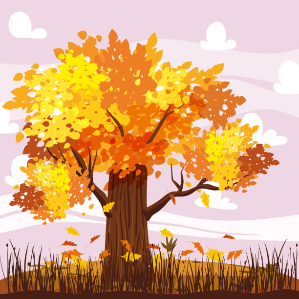 illustrations, cliparts, dessins animés et icônes de paysage d’automne avec chêne jaune, orange, feuilles mortes. paysage rural saisonnier, campagne - vibrant color rural scene outdoors tree