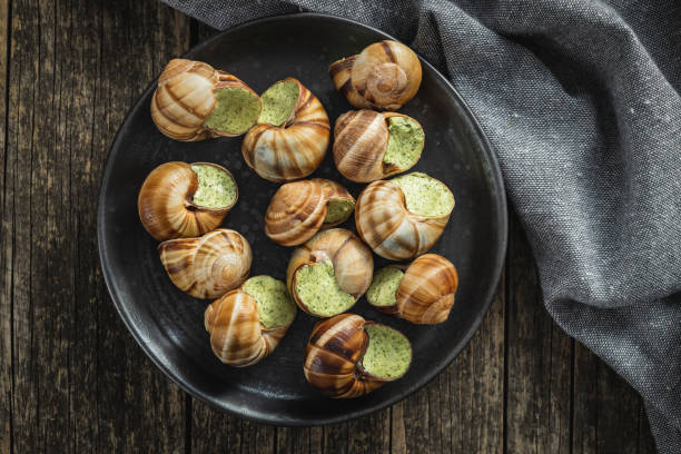 パセリバターのカタツムリ、ブルゴーニュエスカルゴ 皿に巻かれ色とりカタツムリ。デリカテーゼフード。 - gourmet snail food escargot ストックフォトと画像
