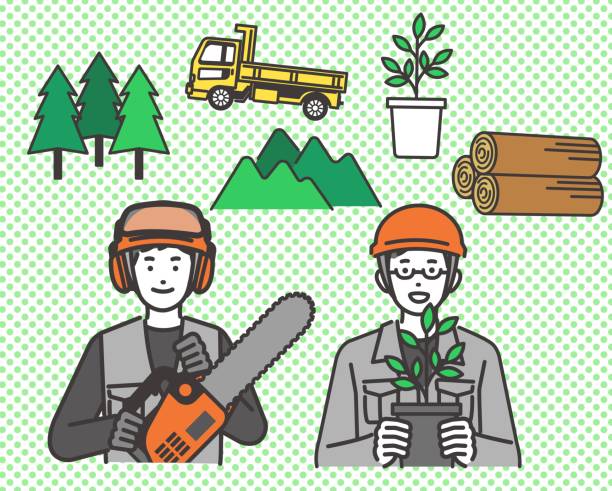 векторный иллюстративный материал людей, работающих в лесном хозяйстве / первичной промышленности / горах / лесах - truck lumber industry log wood stock illustrations