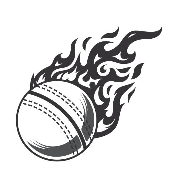 heiße cricketball-feuer-logo-silhouette. cricket club grafikdesign logos oder symbole. vektorillustration. - kricketball stock-grafiken, -clipart, -cartoons und -symbole