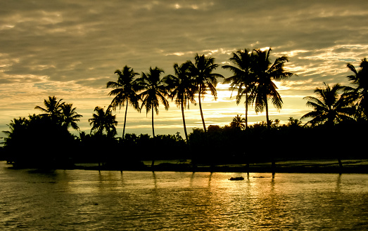 At sunset the sun creates silhouettes of palm trees against a golden sky that is reflected on the moons and canals of the Backwaters