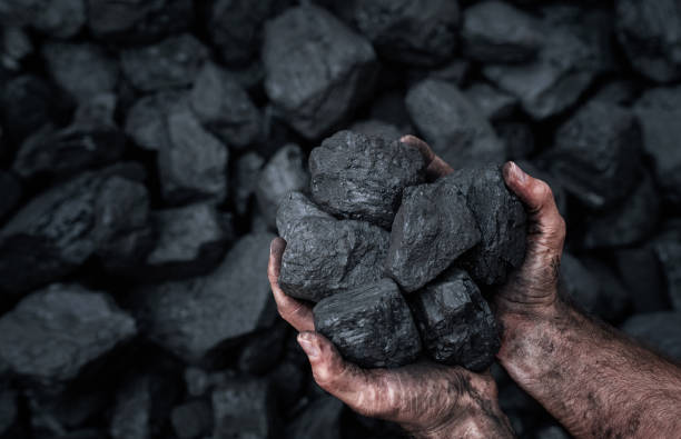 Close up of human hands holding pile of coal stock photo