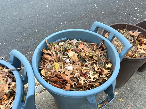 Garden clippings in trash cans