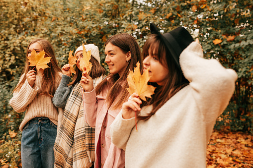 Four girlfriends of student are having fun on walk in autumn park holding bright maple leaves in their hands. Leaf fall. Healthy lifestyle. Positive emotions. Female friendship. Student times.