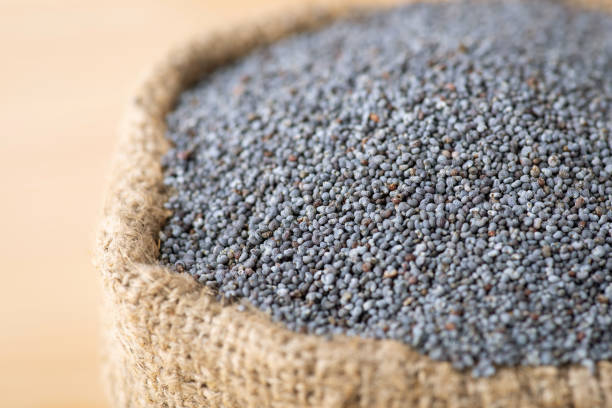 istock Poppy seed in linen sack 1436370309