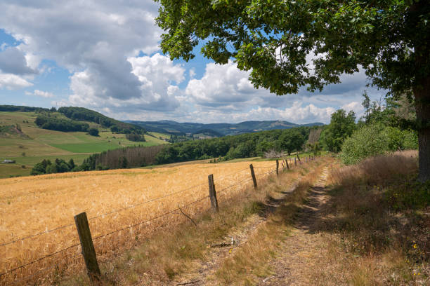 Panoramic landscape image, beautiful scenery of Rothaar Mountains, Sauerland, Germany