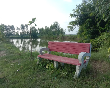 Beautiful Scenery With Bench And Lake