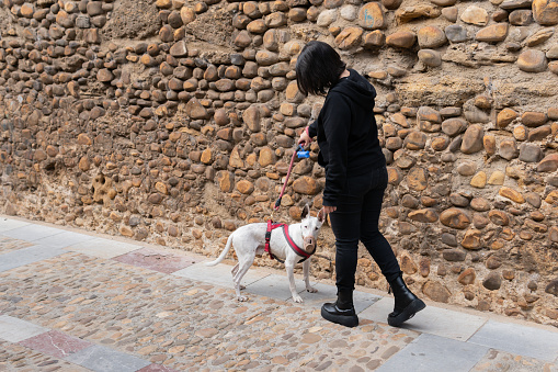 Mid 30s woman dressed in black walking a white dog looking at the camera next to a stone wall. Copy space and no human face