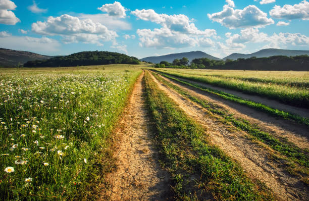 istock Landscape with dirt road between meadow in the spring. Agricultural, fields and mountain. 1436378420