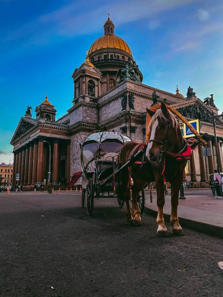 istock Carriage team in front of St. Isaac's Cathedral 1436378784