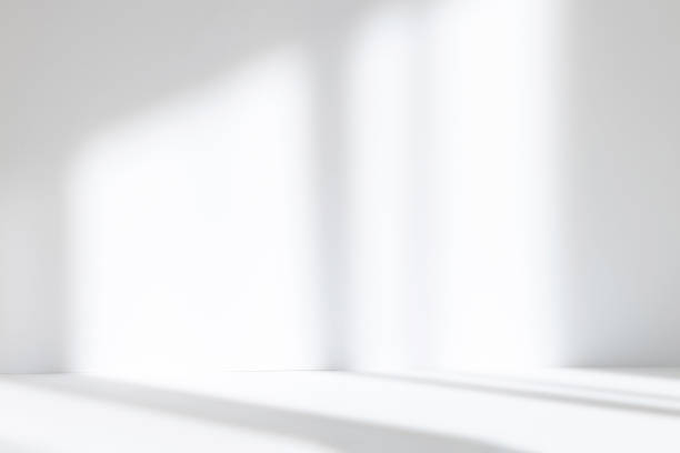 istock Abstract white studio background for product presentation. Empty room with shadows of window. Display product with blurred backdrop. 1436379018