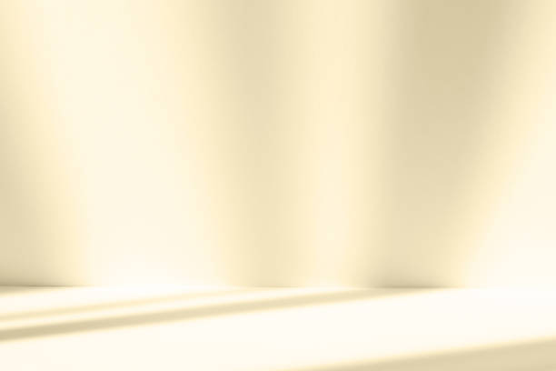 istock Abstract white studio background for product presentation. Empty room with shadows of window. Display product with blurred backdrop. 1436379030