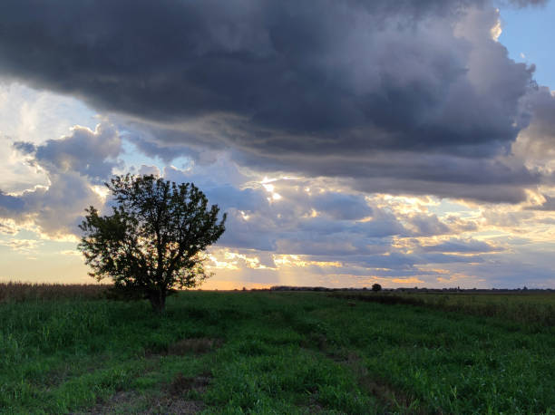 istock rural landscape with stormy clouds in Vojvodina 1436382833