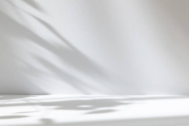 istock Abstract white studio background for product presentation. Empty room with shadows of window and flowers and palm leaves . 3d room with copy space. Summer concert. Blurred backdrop. 1436383243