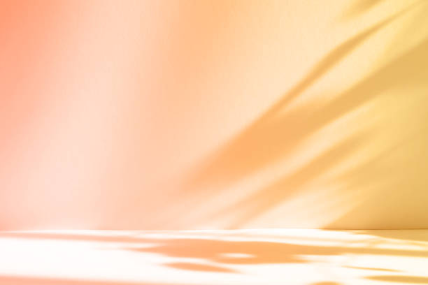 istock Abstract pastel color studio background for product presentation. Empty room with shadows of window and flowers and palm leaves . 3d room with copy space. Summer concert. Blurred backdrop. 1436383251