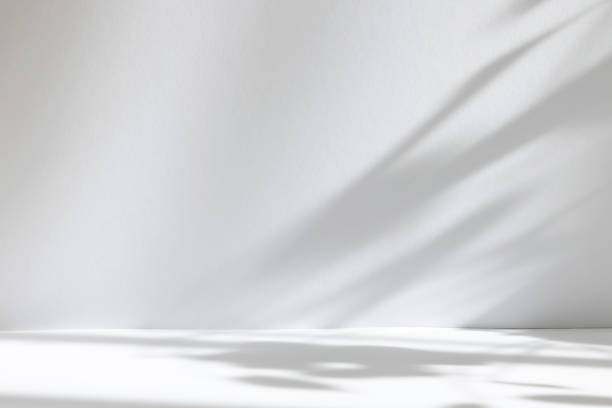 istock Abstract white studio background for product presentation. Empty room with shadows of window and flowers and palm leaves . 3d room with copy space. Summer concert. Blurred backdrop. 1436383252