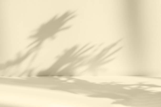 istock Blurred background. Abstract beige studio background for product presentation. Empty room with shadows of window and flowers and leaves . 3d room with copy space. Summer concert. 1436383260