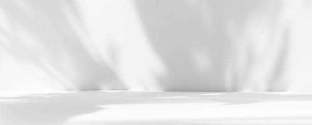 istock Abstract white studio background for product presentation. Empty room with shadows of window and flowers and palm leaves . 3d room with copy space. Summer concert. Blurred backdrop. 1436383290