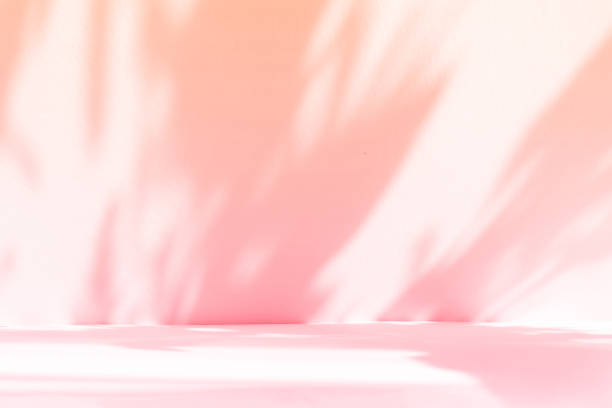 istock Abstract pink studio background for product presentation. Empty room with shadows of window and flowers and palm leaves . 3d room with copy space. Summer concert. Blurred backdrop. 1436383295