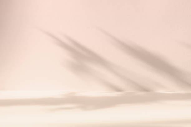 istock Blurred background. Abstract beige studio background for product presentation. Empty room with shadows of window and flowers and leaves . 3d room with copy space. Summer concert. 1436383320