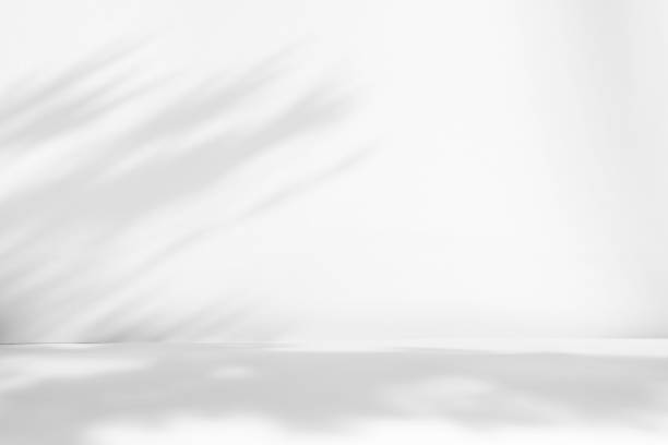 istock Abstract white studio background for product presentation. Empty room with shadows of window and flowers and palm leaves . 3d room with copy space. Summer concert. Blurred backdrop. 1436383348