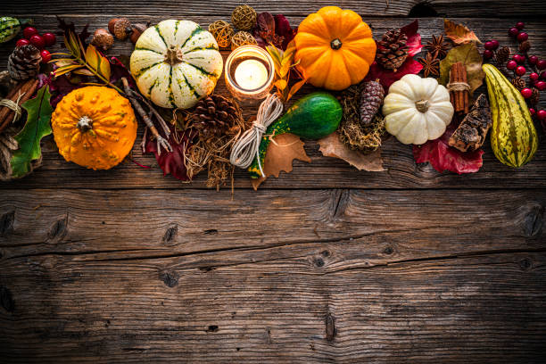 Autumn or Thanksgiving decoration border with mini pumpkins and dry leaves. Copy space stock photo