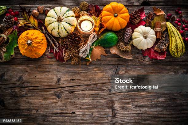 Autumn Or Thanksgiving Decoration Border With Mini Pumpkins And Dry Leaves Copy Space Stock Photo - Download Image Now