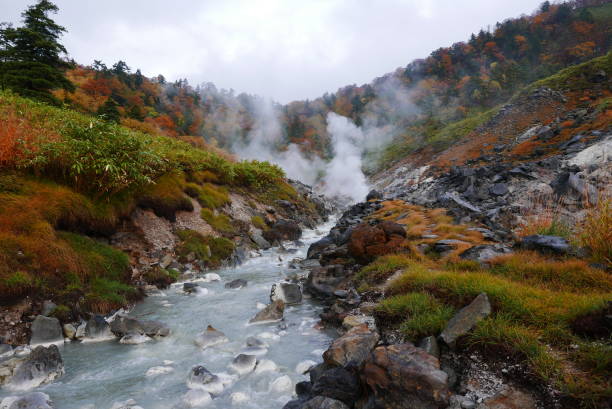 玉川温泉、玉川温泉は、北日本の秋田県仙北市にある温泉です。
