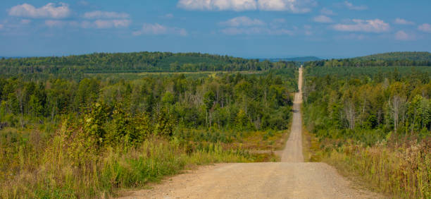 istock Straight and long dirt road through a forest in Maine 1436393695
