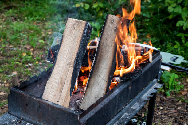 istock Firewood burning on Grill Open fire Close up Outdoor Barbecue Horizontal 1436395444