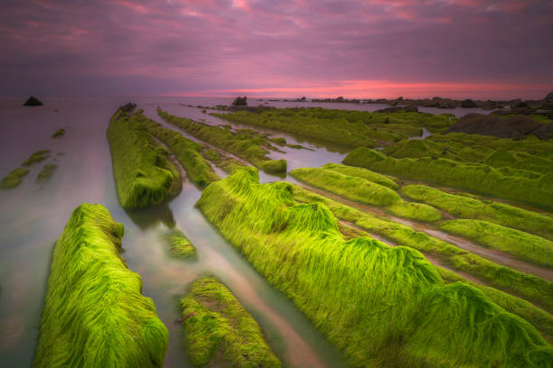 Rocks emerging from the sea