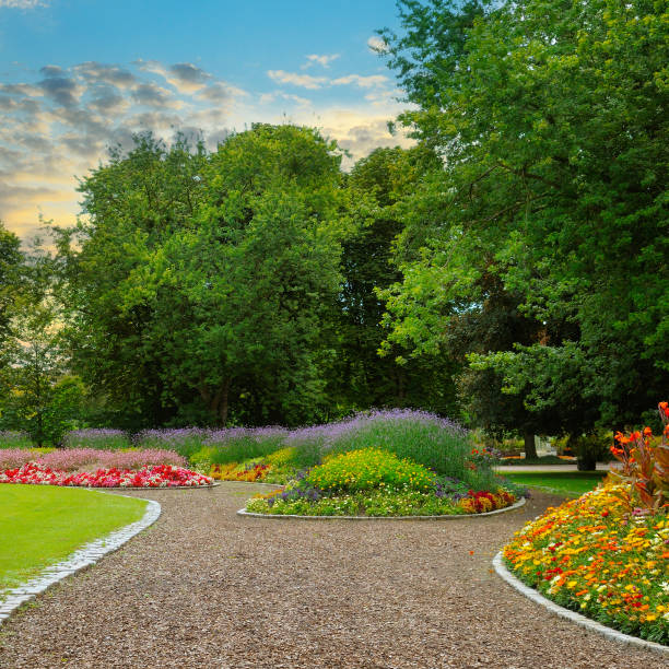 Summer garden with flower beds, lawns and paths.