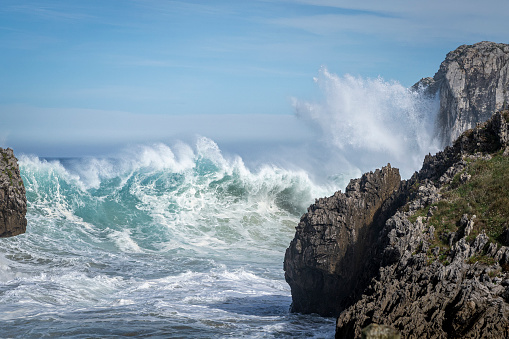 Large blue cresting wave standing tall in the open ocean on a sunny day with Albatros bird of prey flying past.