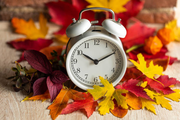 istock Fall winter time change concept. Autumn composition with retro alarm clock, bright yellow and red leaves, walnut. Brick wall on background. Cozy home atmosphere. Close-up 1436402440