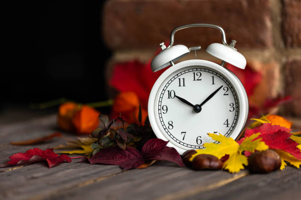 istock Fall winter time change concept. Autumn composition with retro alarm clock, bright yellow and red leaves, walnut. Brick wall on background. Cozy home atmosphere. Close-up 1436402450