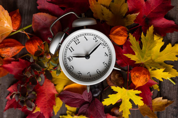 istock Fall winter time change concept. Autumn composition with retro alarm clock, bright yellow and red leaves, walnut. Brick wall on background. Cozy home atmosphere. Close-up. Flat lay top view 1436402458