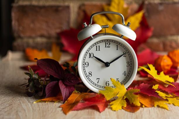 istock Fall winter time change concept. Autumn composition with retro alarm clock, bright yellow and red leaves, walnut. Brick wall on background. Cozy home atmosphere. Close-up 1436402462