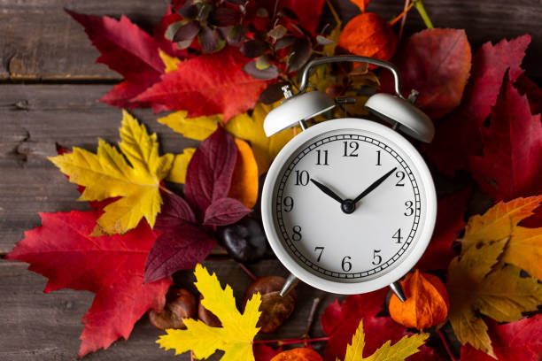 istock Fall winter time change concept. Autumn composition with retro alarm clock, bright yellow and red leaves, walnut. Brick wall on background. Cozy home atmosphere. Close-up 1436402464