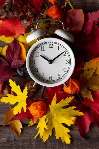 istock Fall winter time change concept. Autumn composition with retro alarm clock, bright yellow and red leaves, walnut. Brick wall on background. Cozy home atmosphere. Close-up 1436402473