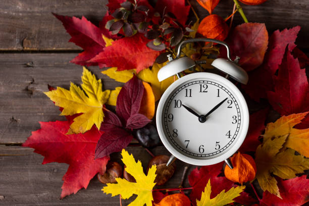 istock Fall winter time change concept. Autumn composition with retro alarm clock, bright yellow and red leaves, walnut. Brick wall on background. Cozy home atmosphere. Close-up 1436402481