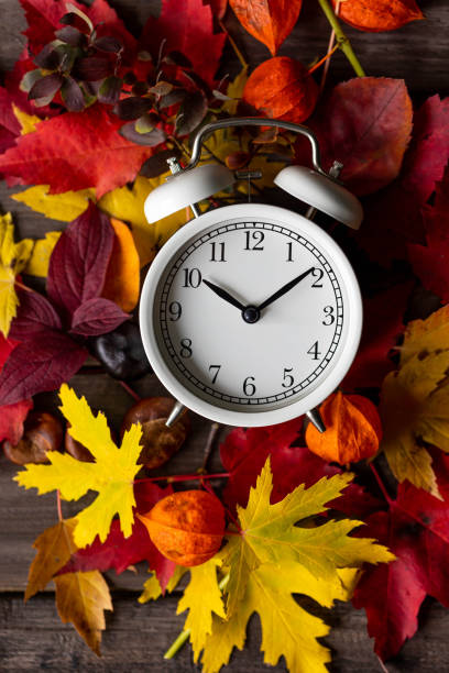 istock Fall winter time change concept. Autumn composition with retro alarm clock, bright yellow and red leaves, walnut. Brick wall on background. Cozy home atmosphere. Close-up flat lay top view 1436402482