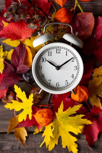 istock Fall winter time change concept. Autumn composition with retro alarm clock, bright yellow and red leaves, walnut. Brick wall on background. Cozy home atmosphere. Close-up 1436402485
