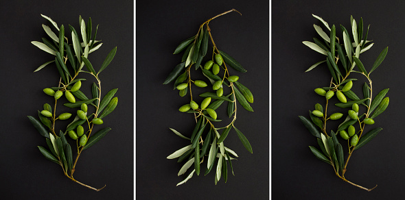 Collage of a branch with green olives on the black background. Top view. Close-up.
