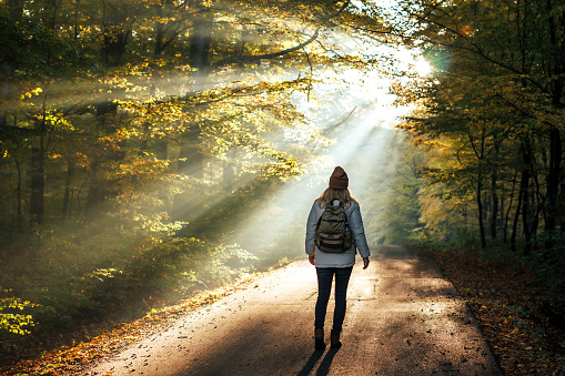 Woman walks on road in autumn forest with sunbeam shine through trees. Moody atmosphere during hiking in cold morning sunrise