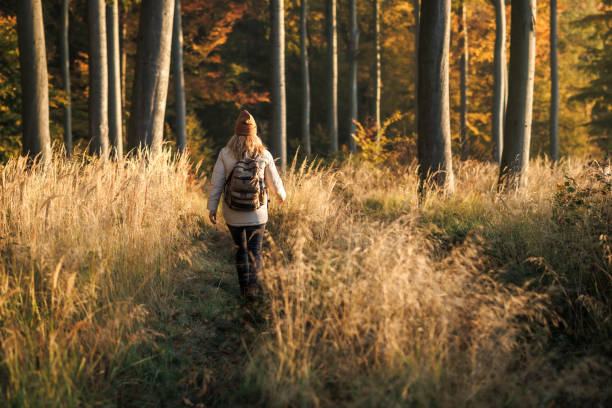 istock Woman with backpack hiking in woods. 1436412171
